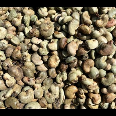 Raw Cashew Nuts
